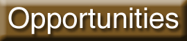 go to Opportunities page
