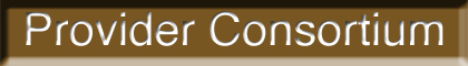 Provider Consortium