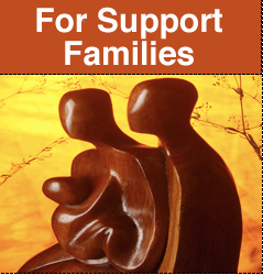 Go to Support Families scection